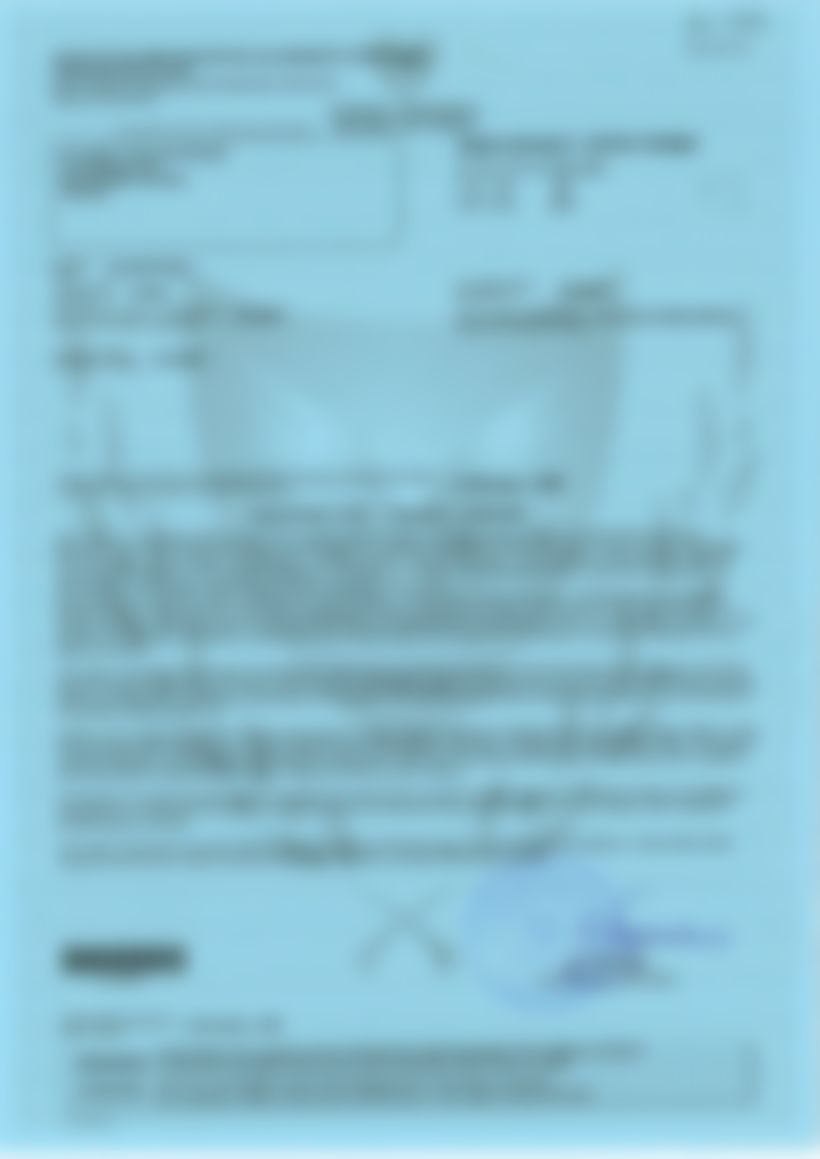 Approved Cyprus student entry permit — personal details blurred for privacy